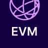 EVM Testnet chain